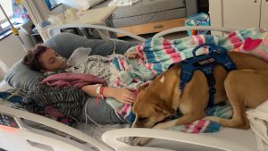 girl in hospital with service dog