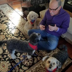man with three therapy dogs